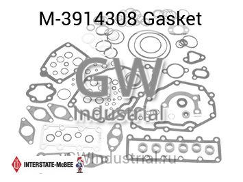 Gasket — M-3914308
