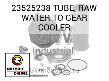 TUBE, RAW WATER TO GEAR COOLER — 23525238