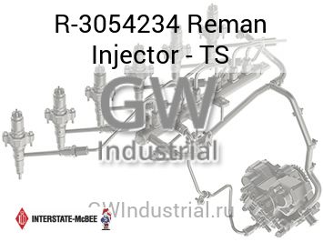 Reman Injector - TS — R-3054234