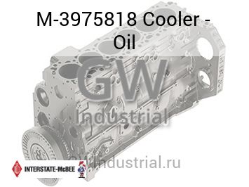 Cooler - Oil — M-3975818