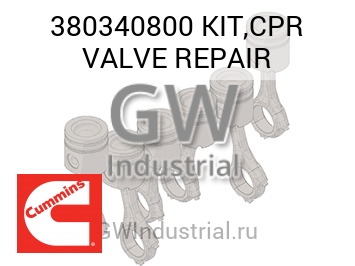 KIT,CPR VALVE REPAIR — 380340800