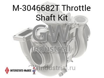 Throttle Shaft Kit — M-3046682T