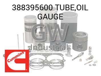 TUBE,OIL GAUGE — 388395600