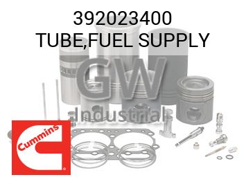 TUBE,FUEL SUPPLY — 392023400