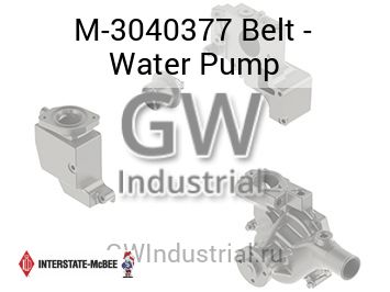 Belt - Water Pump — M-3040377