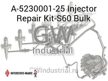 Injector Repair Kit-S60 Bulk — A-5230001-25