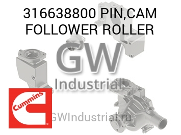 PIN,CAM FOLLOWER ROLLER — 316638800