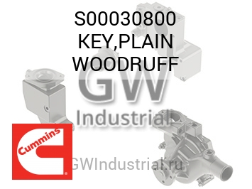 KEY,PLAIN WOODRUFF — S00030800