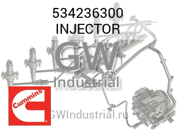 INJECTOR — 534236300