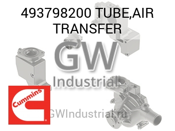 TUBE,AIR TRANSFER — 493798200