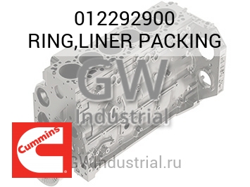 RING,LINER PACKING — 012292900