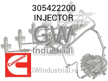 INJECTOR — 305422200