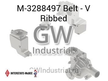 Belt - V Ribbed — M-3288497
