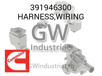 HARNESS,WIRING — 391946300