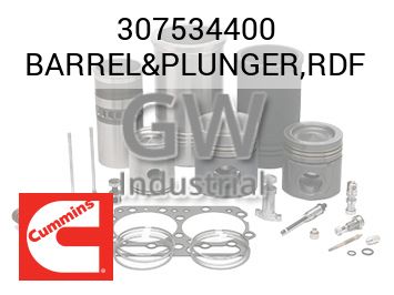 BARREL&PLUNGER,RDF — 307534400