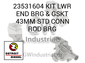 KIT LWR END BRG & GSKT 43MM STD CONN ROD BRG — 23531604