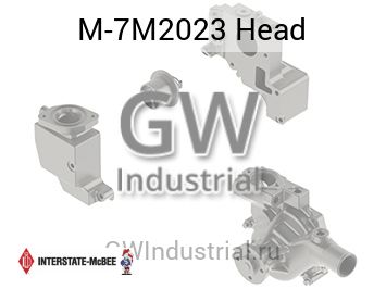 Head — M-7M2023