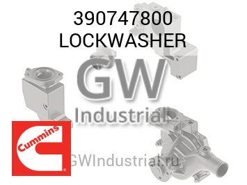 LOCKWASHER — 390747800