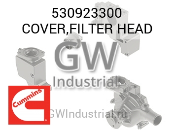 COVER,FILTER HEAD — 530923300