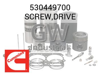 SCREW,DRIVE — 530449700