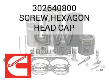 SCREW,HEXAGON HEAD CAP — 302640800