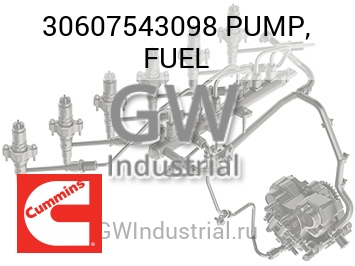 PUMP, FUEL — 30607543098