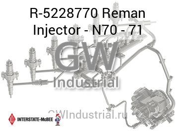 Reman Injector - N70 - 71 — R-5228770