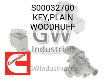 KEY,PLAIN WOODRUFF — S00032700