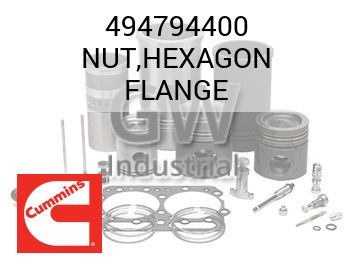 NUT,HEXAGON FLANGE — 494794400