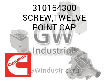 SCREW,TWELVE POINT CAP — 310164300