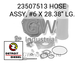 HOSE ASSY, #6 X 28.38