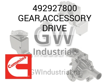 GEAR,ACCESSORY DRIVE — 492927800