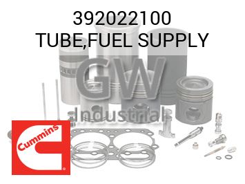 TUBE,FUEL SUPPLY — 392022100