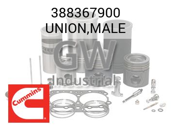 UNION,MALE — 388367900