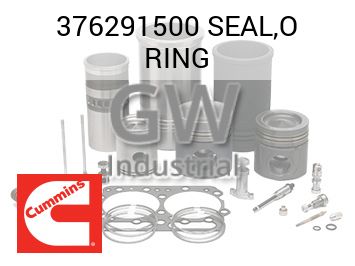 SEAL,O RING — 376291500