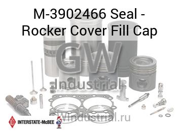 Seal - Rocker Cover Fill Cap — M-3902466
