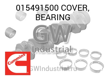 COVER, BEARING — 015491500