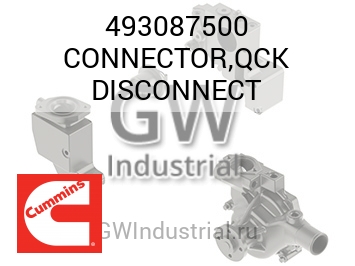 CONNECTOR,QCK DISCONNECT — 493087500