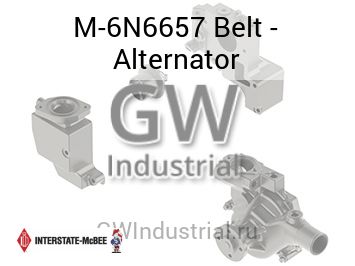 Belt - Alternator — M-6N6657