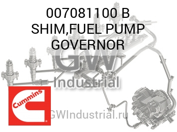 SHIM,FUEL PUMP GOVERNOR — 007081100 B