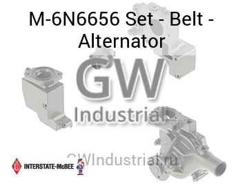 Set - Belt - Alternator — M-6N6656