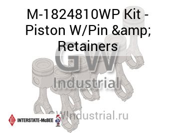 Kit - Piston W/Pin & Retainers — M-1824810WP