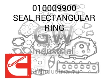 SEAL,RECTANGULAR RING — 010009900