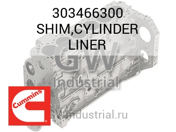 SHIM,CYLINDER LINER — 303466300