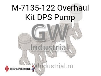 Overhaul Kit DPS Pump — M-7135-122