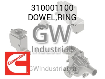 DOWEL,RING — 310001100