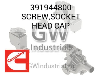 SCREW,SOCKET HEAD CAP — 391944800