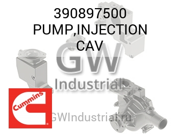 PUMP,INJECTION CAV — 390897500