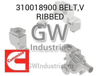 BELT,V RIBBED — 310018900