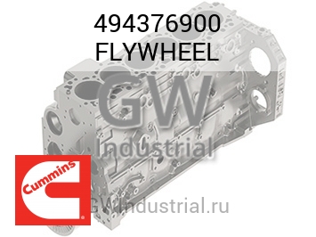 FLYWHEEL — 494376900